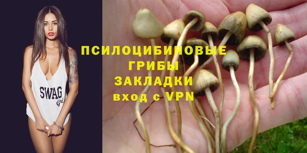 эйфоретик Алзамай