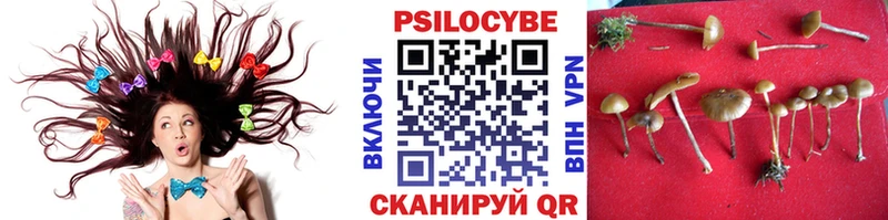 Галлюциногенные грибы Magic Shrooms  Александров 